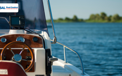 Preventing Ants and Roaches on Your Boat