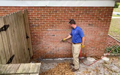 Termite Bond in Florida: Everything You Should Know