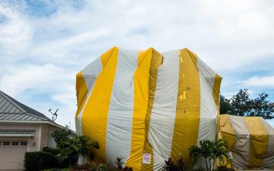 Effective Termite Control with Tent Fumigation: A Complete Guide