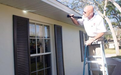 A Useful Guide on Termite Inspection & Pest Control