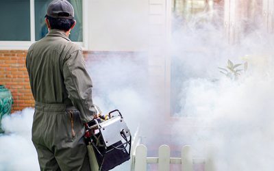 How To Choose Residential Mosquito Control Service For Your Home