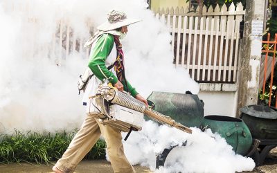 Residential Mosquito Control 101: Guide to a Pest-Free Home