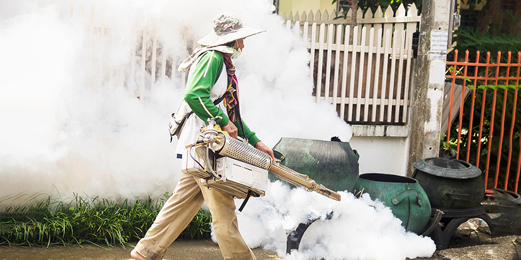 Residential Mosquito Control 101: Guide to a Pest-Free Home