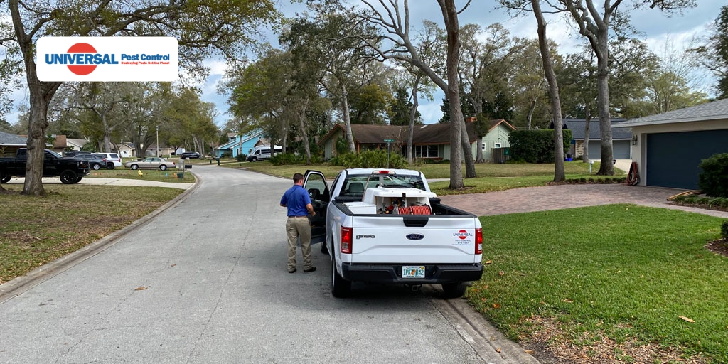 Everything You Need To Know About Residential Pest Control