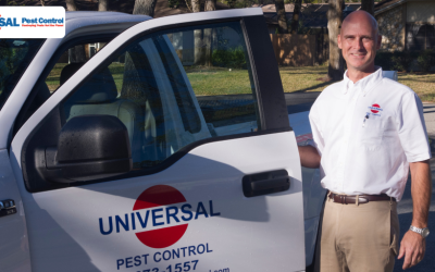 Hidden Costs of Neglecting Commercial Pest Control Services in Florida