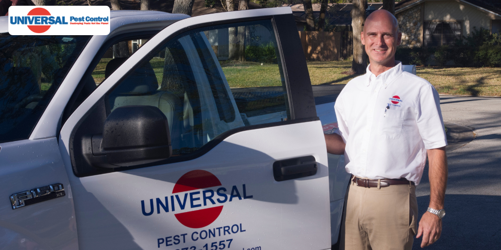Hidden Costs of Neglecting Commercial Pest Control Services in Florida