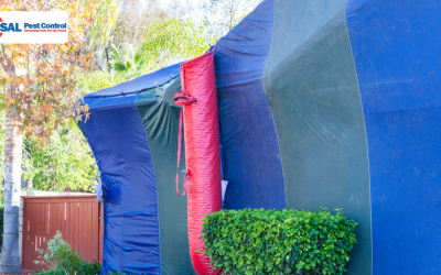 Getting Your Home Ready For Termite Fumigation: A Simple Guide