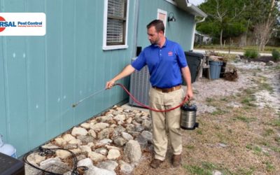 Residential Pest Control Services: Methods, Costs, and Choosing the Best Pest Control Company