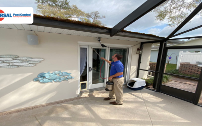Importance Of Effective Residential Mosquito Control For Home And Health Protection