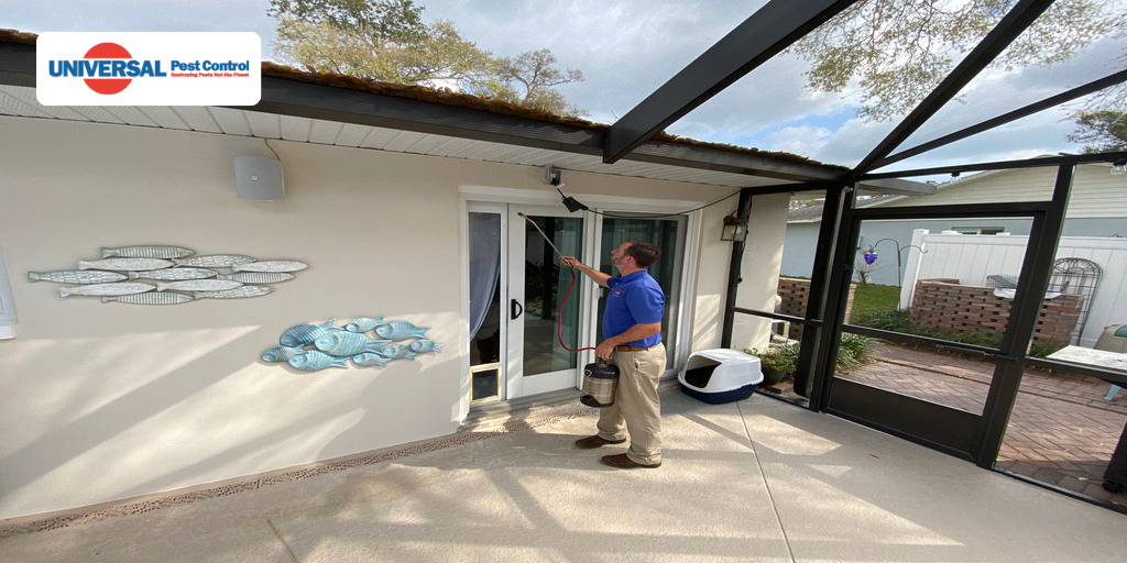 Importance Of Effective Residential Mosquito Control For Home And Health Protection