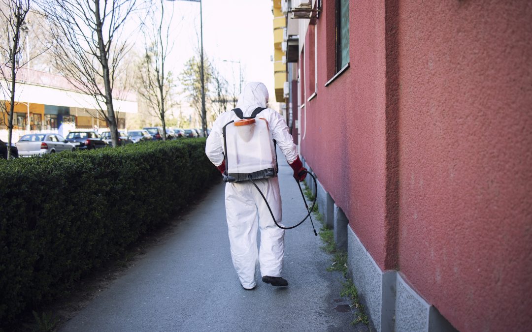 How Pest Control in Daytona Beach Ensures Year-Round Pest Protection