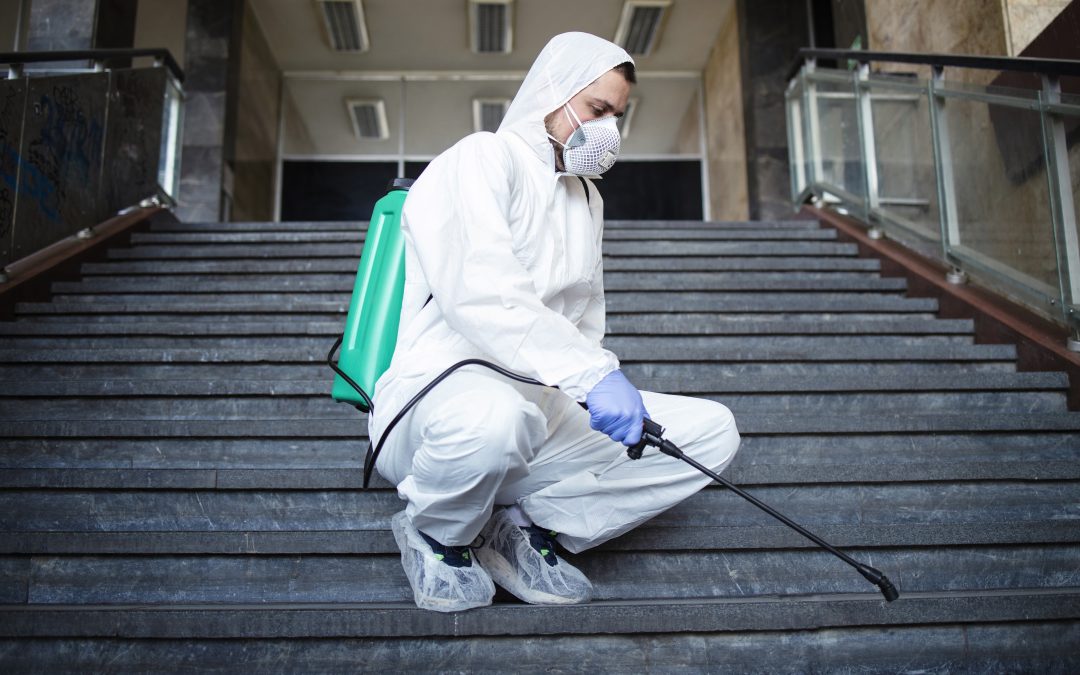 Effective Pest Control Service for Roaches: Protect Your Home Today