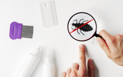 Signs of Pest Infestation: How to Identify Problems Early