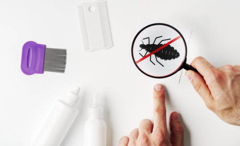 Signs of Pest Infestation: How to Identify Problems Early