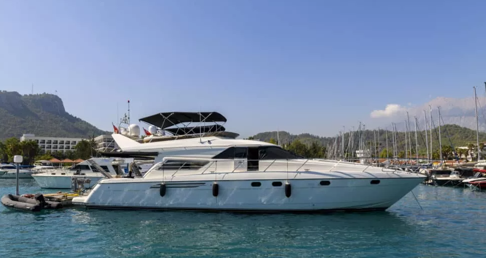 Boat Bugs: Complete Guide to Identification, Prevention and Control