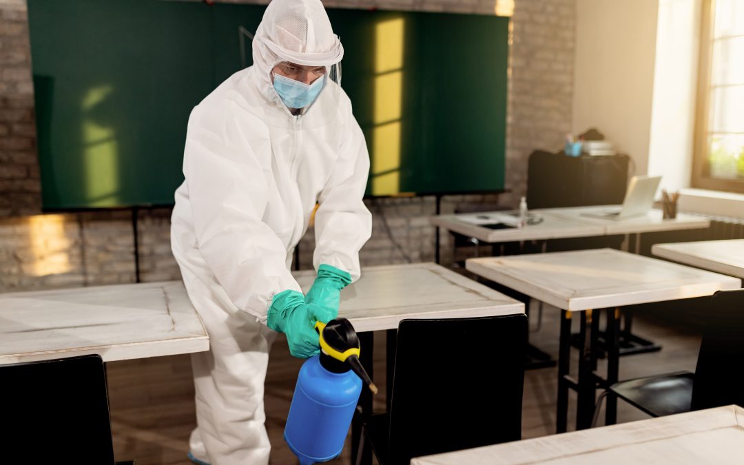 What Do Exterminators Do: Guide to Pest Control